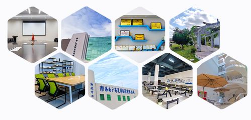 消博線報(bào) 醫(yī)藥黑科技、珍稀祖母綠與人工智能軟件齊聚，引領(lǐng)消費(fèi)新浪潮